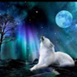 Meet your Posher, Syma